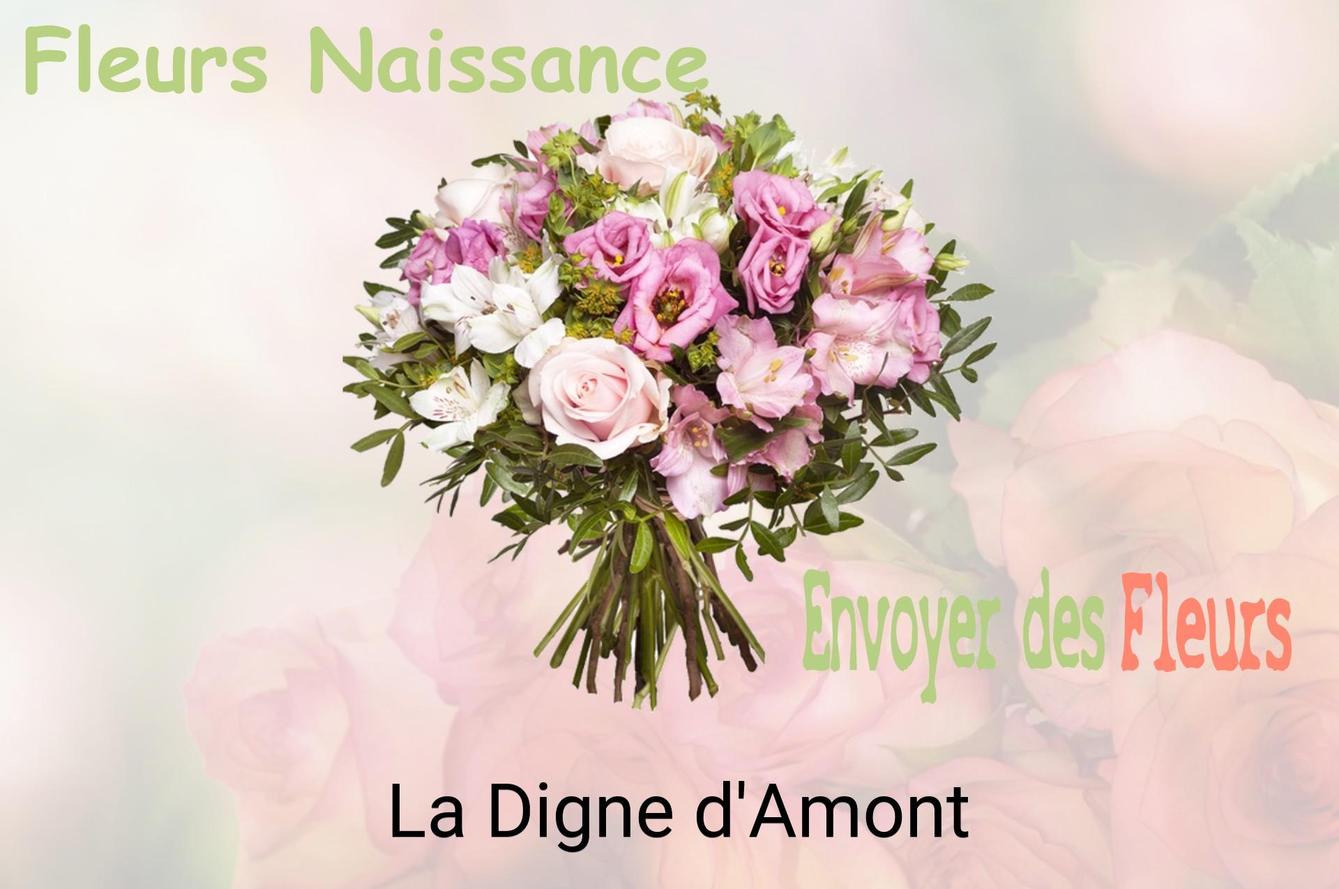 Bouquet de fleurs de naissance livré à La Digne-d'Amont
